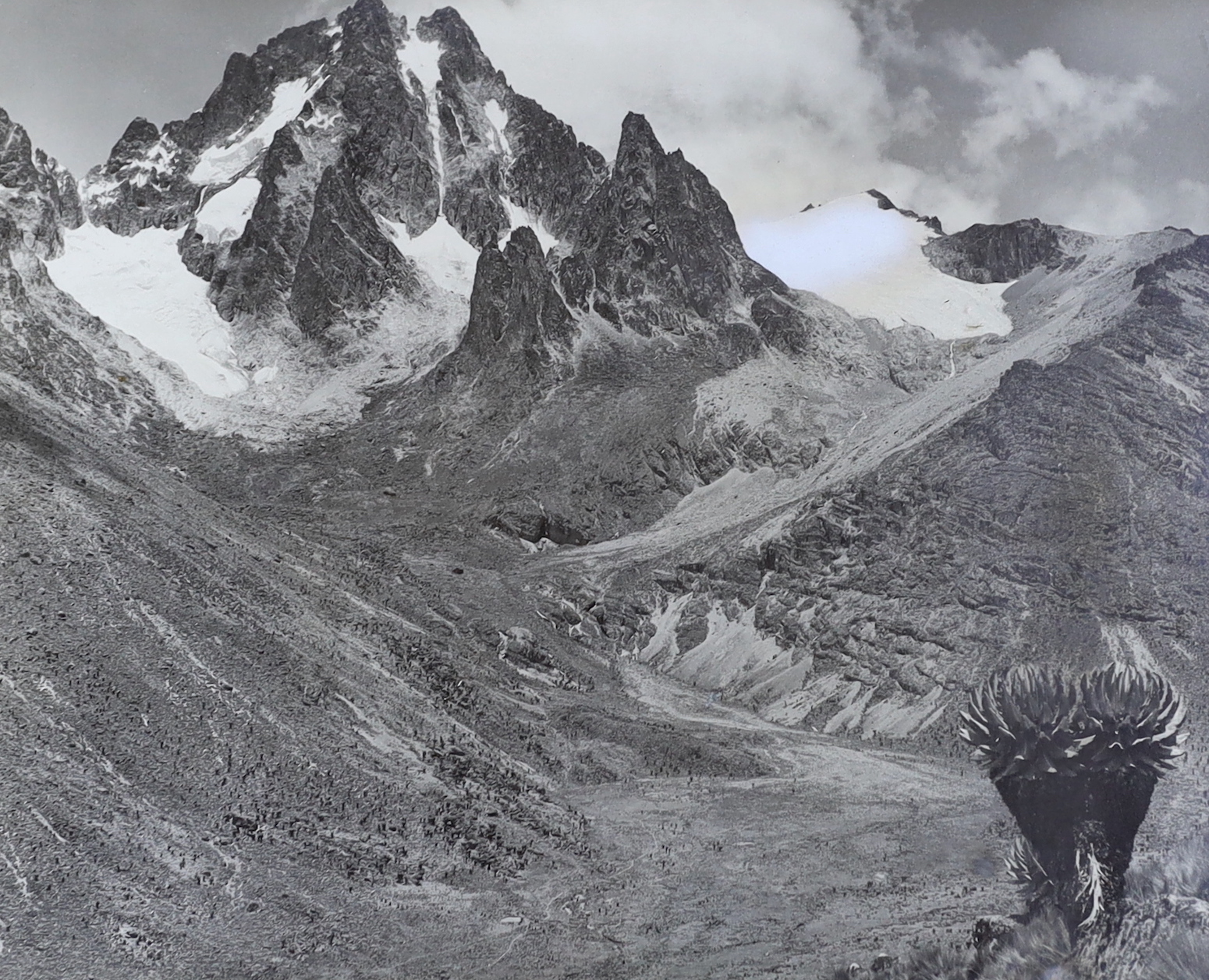 Arthur Firmin (1912-1955) vintage black and white photograph of Mount Kenya, details verso, 50 x 39cm